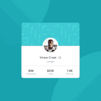 a user profile card centered in the screen displaying profile photo and social media stats